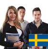 Poslovni online tečaj švedskega jezika