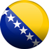Online tečaji bosanskega jezika