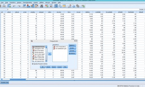 Kurs i obuka - rad u SPSS programu